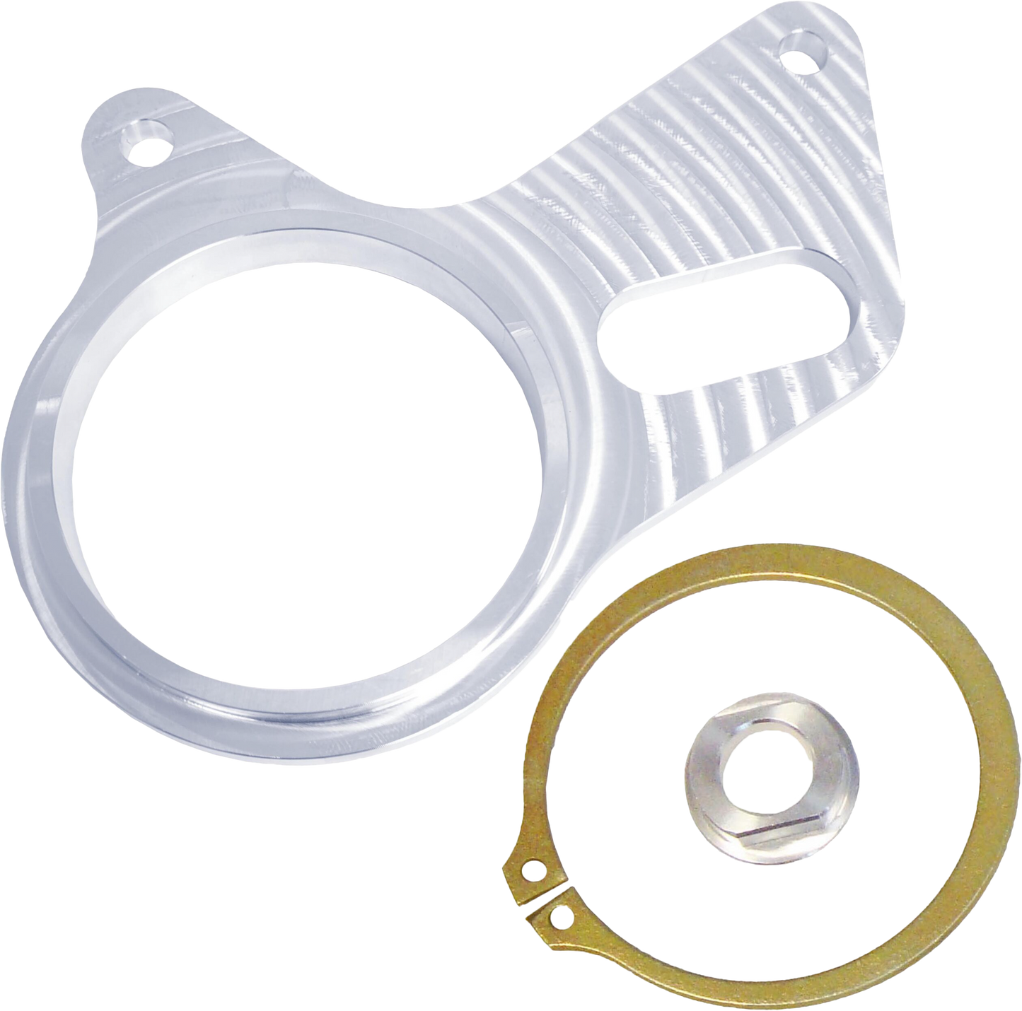 Brake Caliper Mount Plate Raw