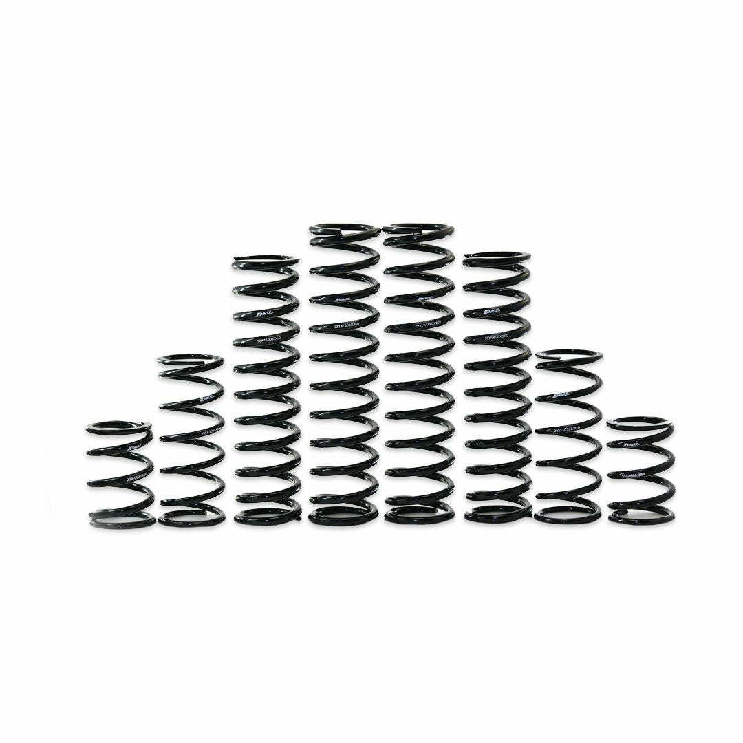 Dual Rate Spring Kit Kaw