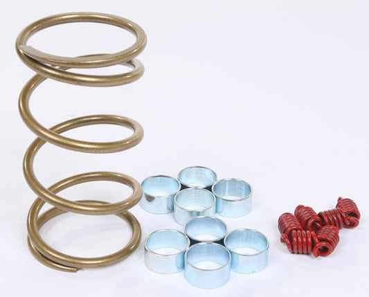 Mudder Clutch Kit