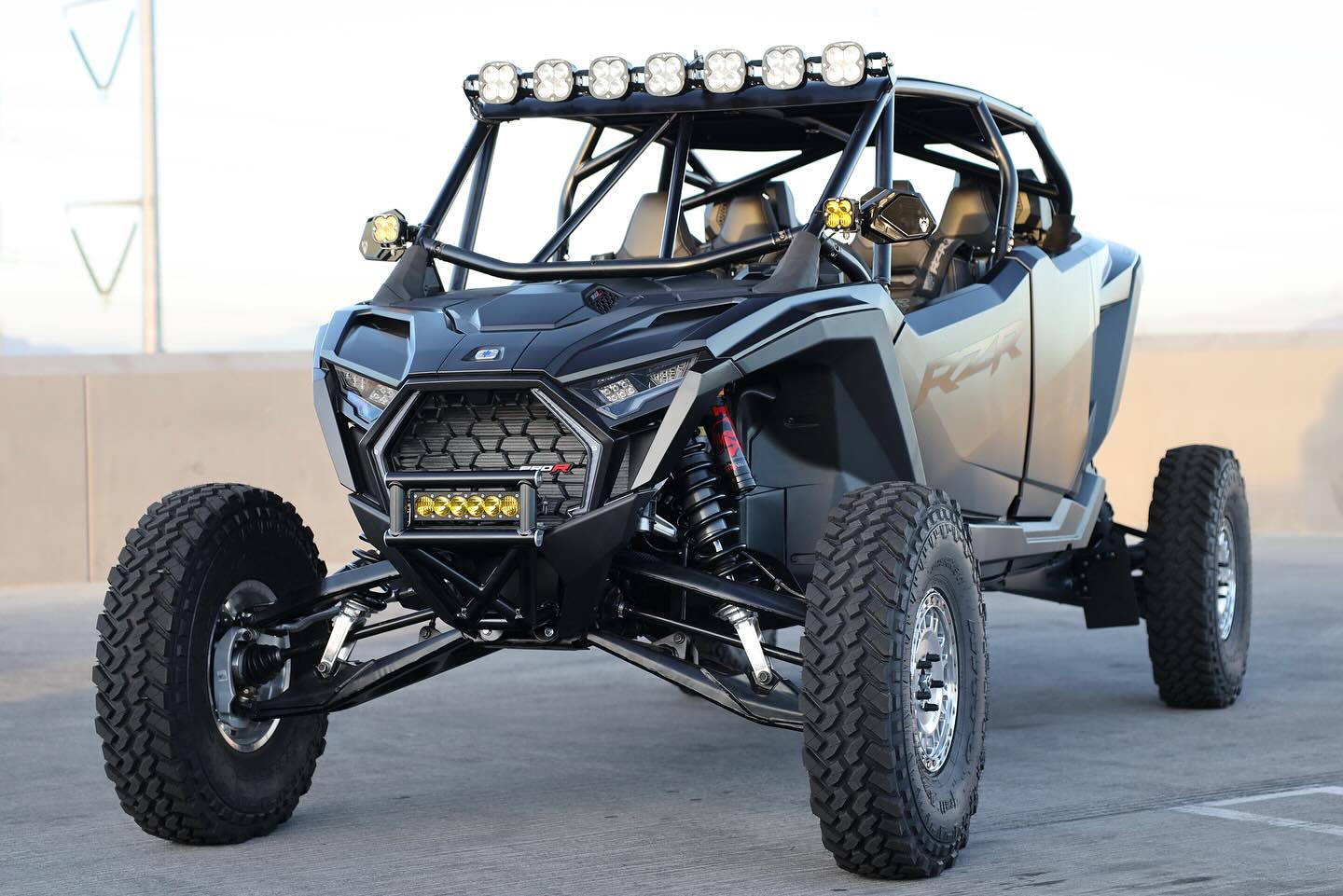 PRO R 4 VR2 A.2 BAJA Cage