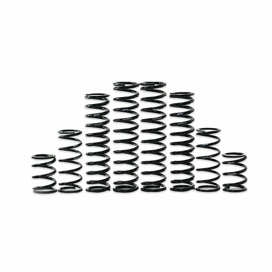 Dual Rate Spring Kit Kaw