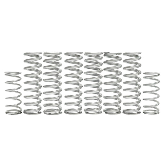 Yamaha RMAX Dual Rate Spring Kits