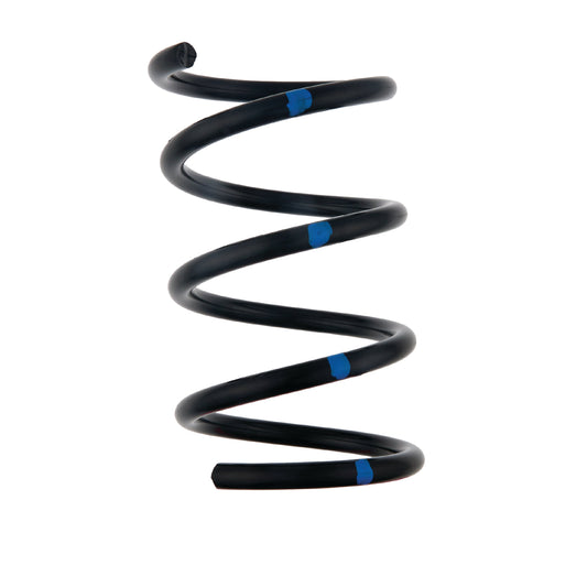 Spring (Black/Blue) - RZR Secondary Spring