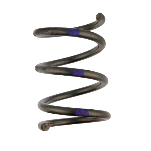 Spring (Silver/Purple) - UltraShift 2200-2400 RPM Spring